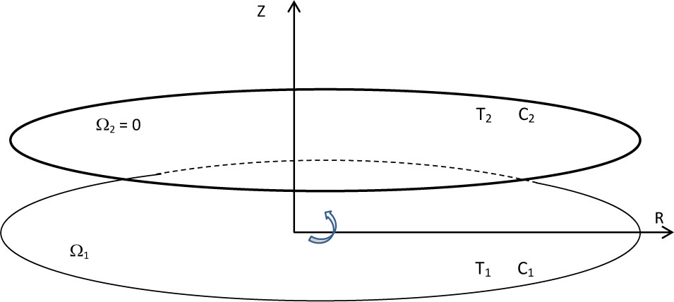 Fig. 1 Geometry of the flow