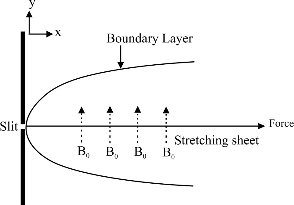 Fig. 1 Schematic representation of the flow diagram.