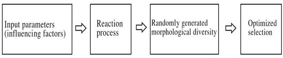 Figure 3 Non-linear morphology generation process