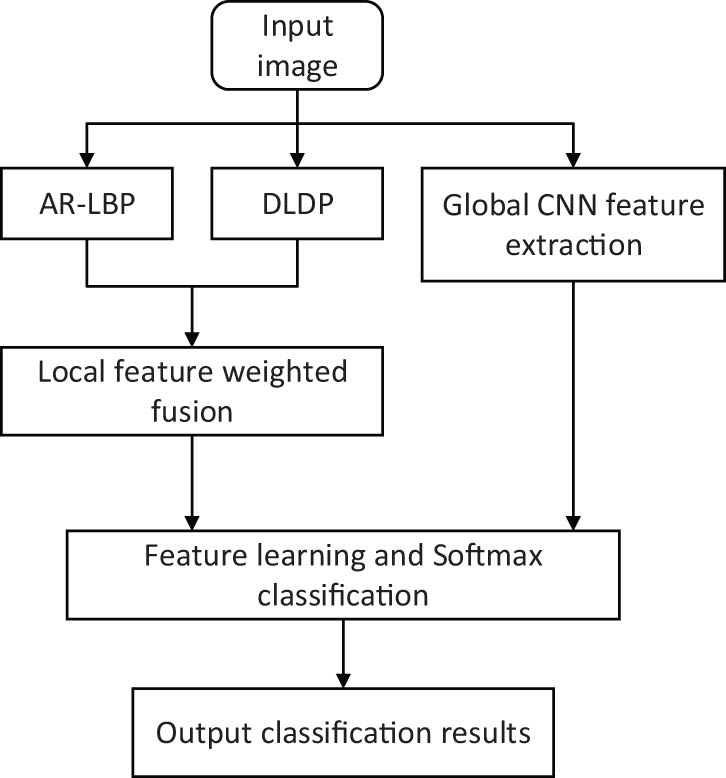 Figure 4 
               Flow chart of FER algorithm.
            