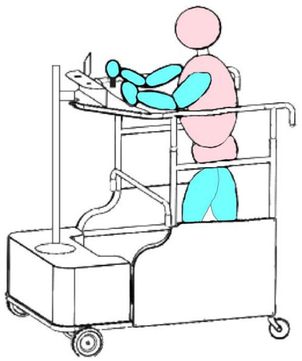 Figure 2
Normal walking pattern.