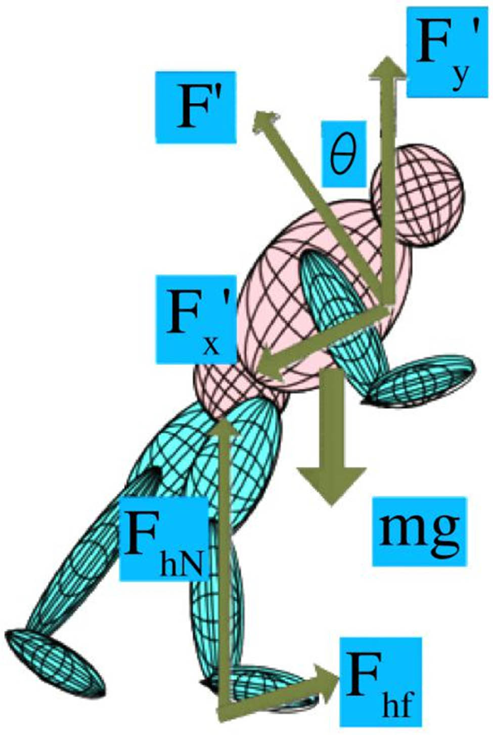Figure 4
Static system robot force diagram.