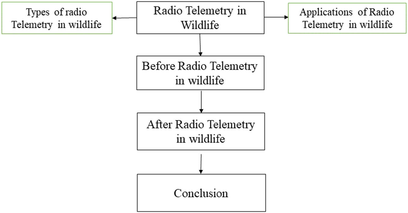 Figure 3 
               Flow Diagram representing the organization of review.