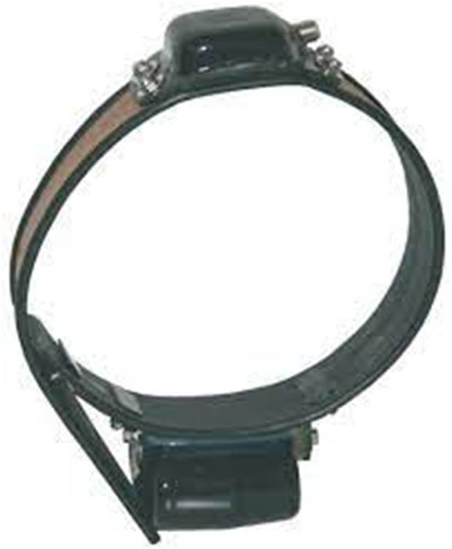 Figure 4 
                  GPS radio collar for tigers [4].
               