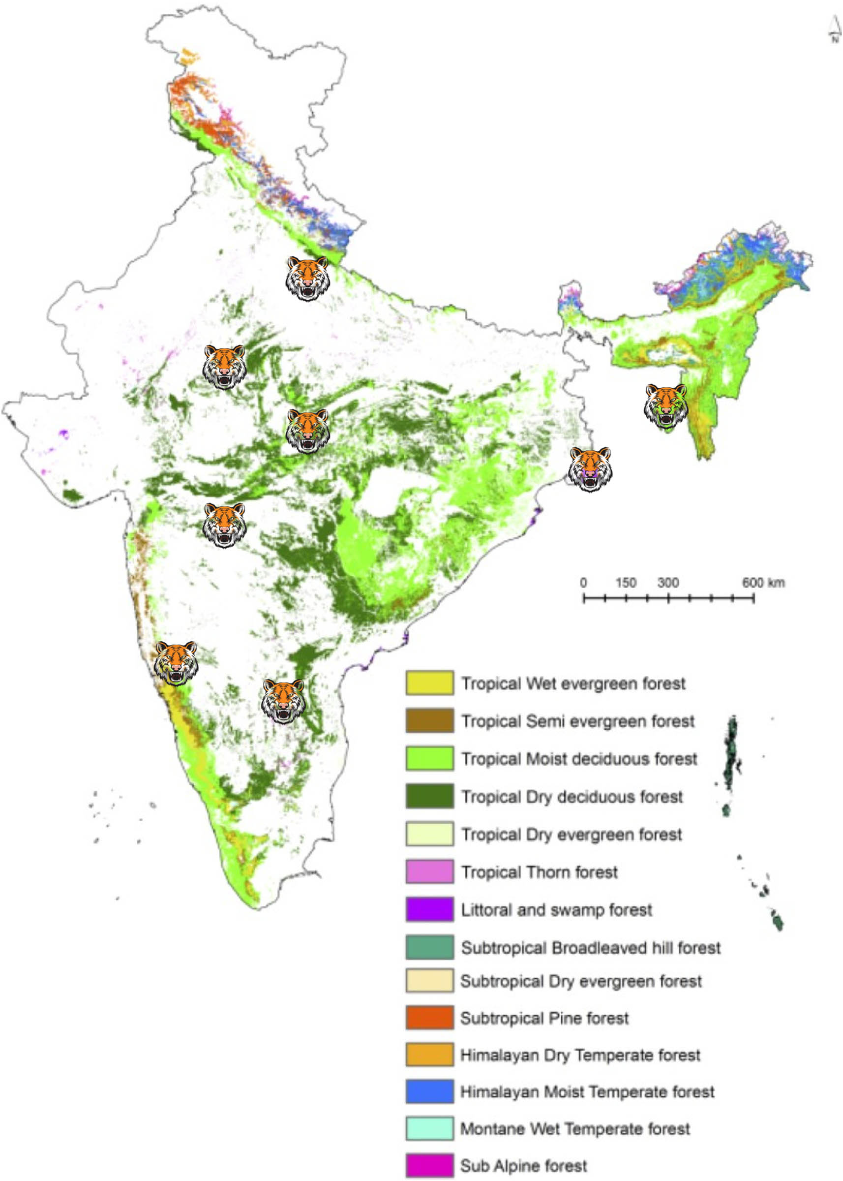 Figure 6 
                  Map of India showing the regions of major conservation studies along with the type of vegetations found in these regions.