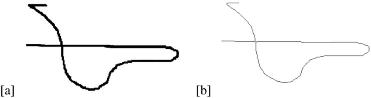 Figure 5
A signature (a) and its skeleton (b).