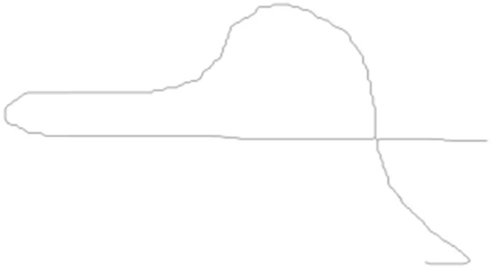 Figure 9
The questioned signature corresponding the genuine signature in Figure 5.