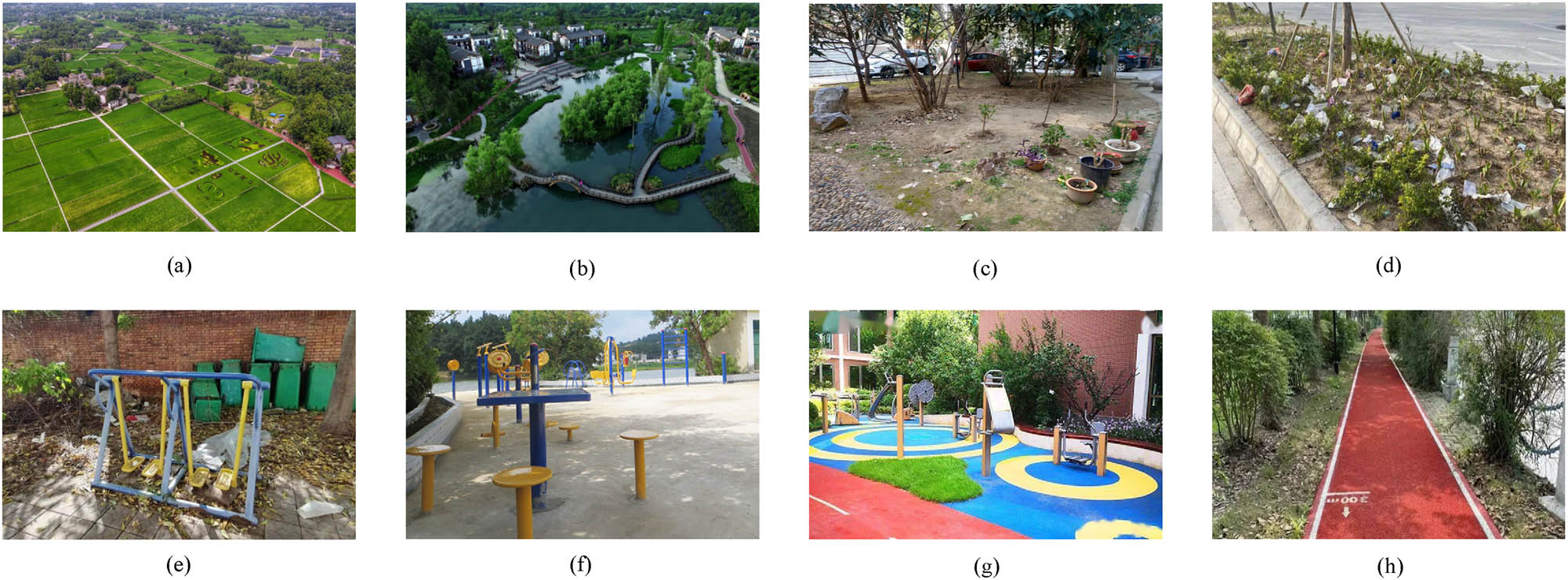 Figure 2
Status of urban and rural greening and infrastructure in Chengdu. (a) Status of rural greening. (b) Status of greening in urban and rural areas. (c) Status of greening in urban neighborhoods. (d) Status of urban street greening. (e) Status of rural aging infrastructure. (f) Status of aging-friendly infrastructure in urban and rural areas. (g) Status of aging infrastructure in urban neighborhoods. (h) Status of aging infrastructure in urban streets.