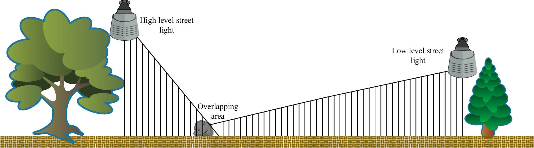 Figure 5
Multi-Level lighting design showcase.