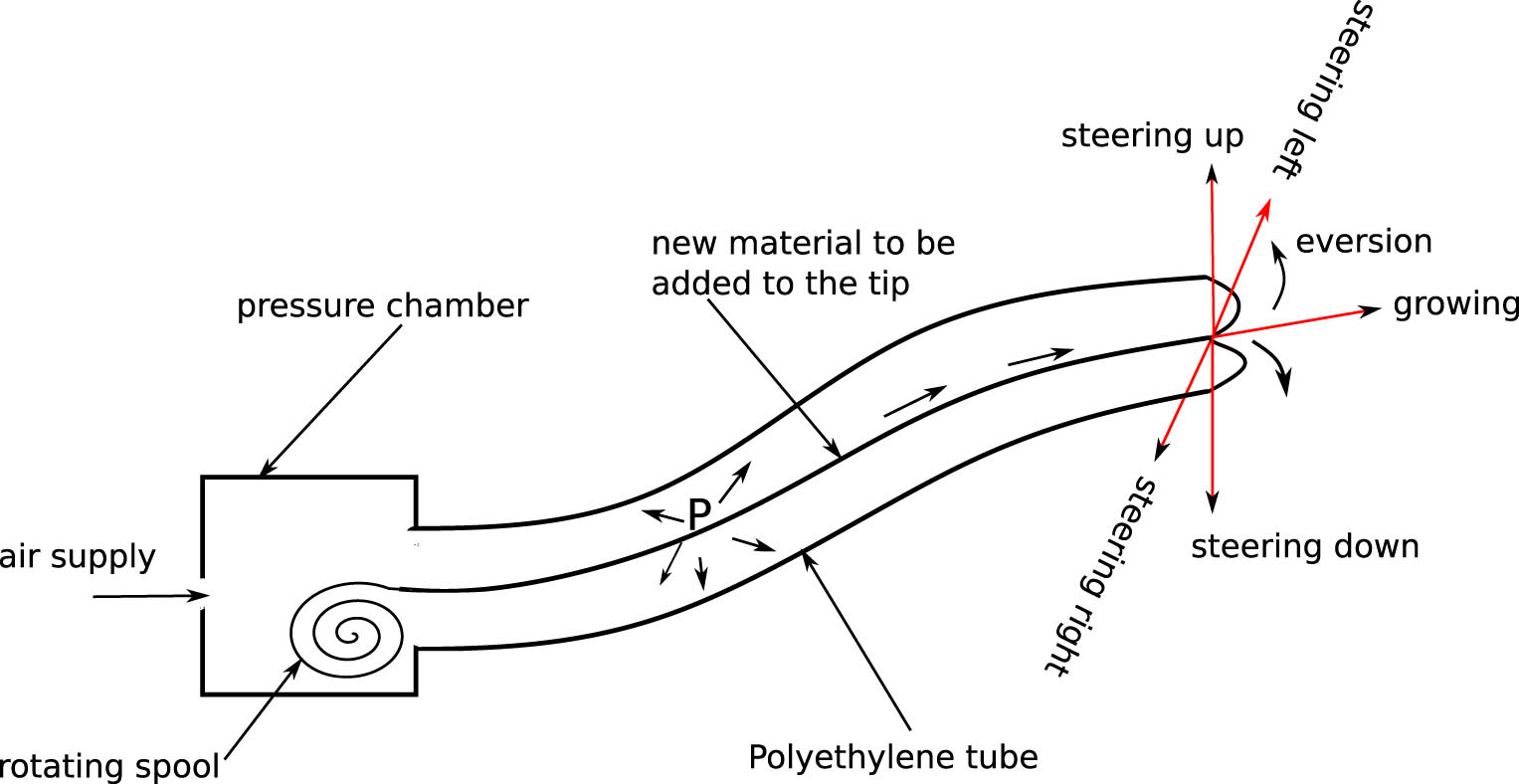 Figure 1
Schematic diagram of vine growing robot depicting its structure.