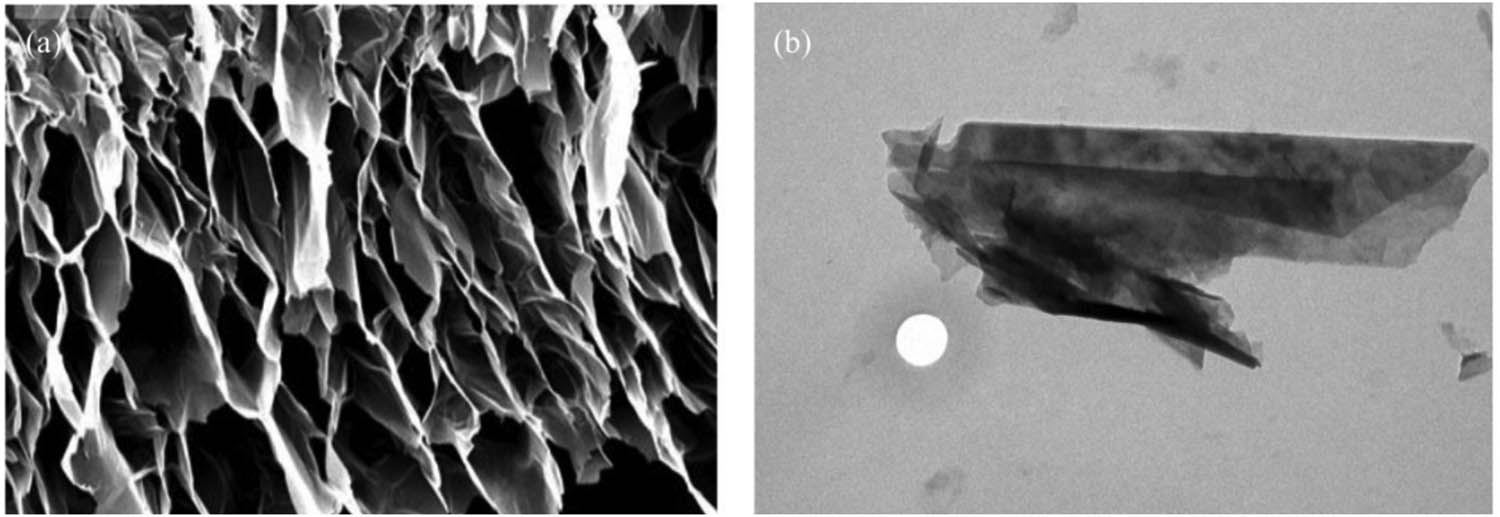 Figure 2
SEM images of EG prepared by (a) high-temperature expansion and (b) microwave-irradiation expansion.