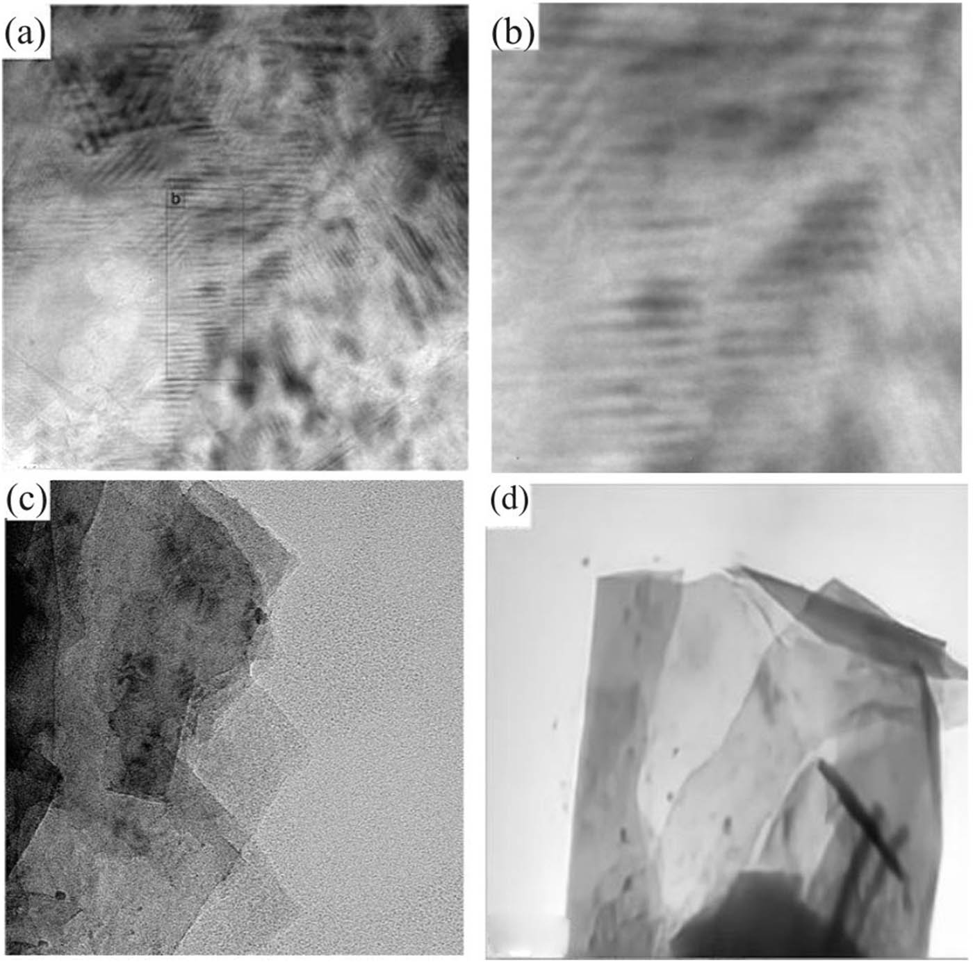 Figure 5
TEM photograph of GP40. (a) Longitudinal surface; (b) a partial enlarged view; (c) horizontal plane; (d) GP40 was ultrasonically dispersed in non-negative matrix factorization (NMF) and then dripped onto copper mesh for observation.
