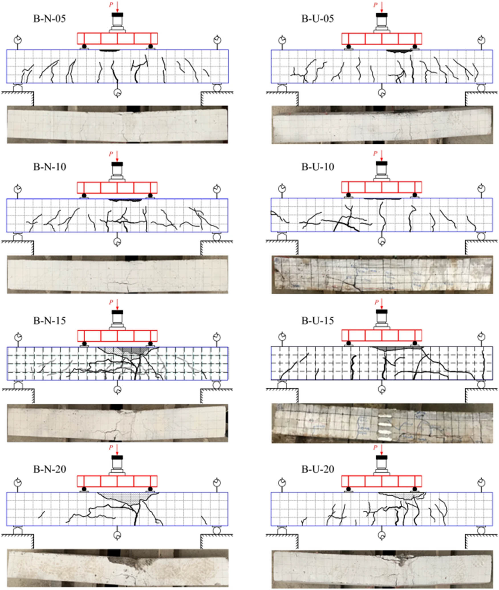 Figure 2 
                  Distribution of bedding tendon strip tension extension.
               