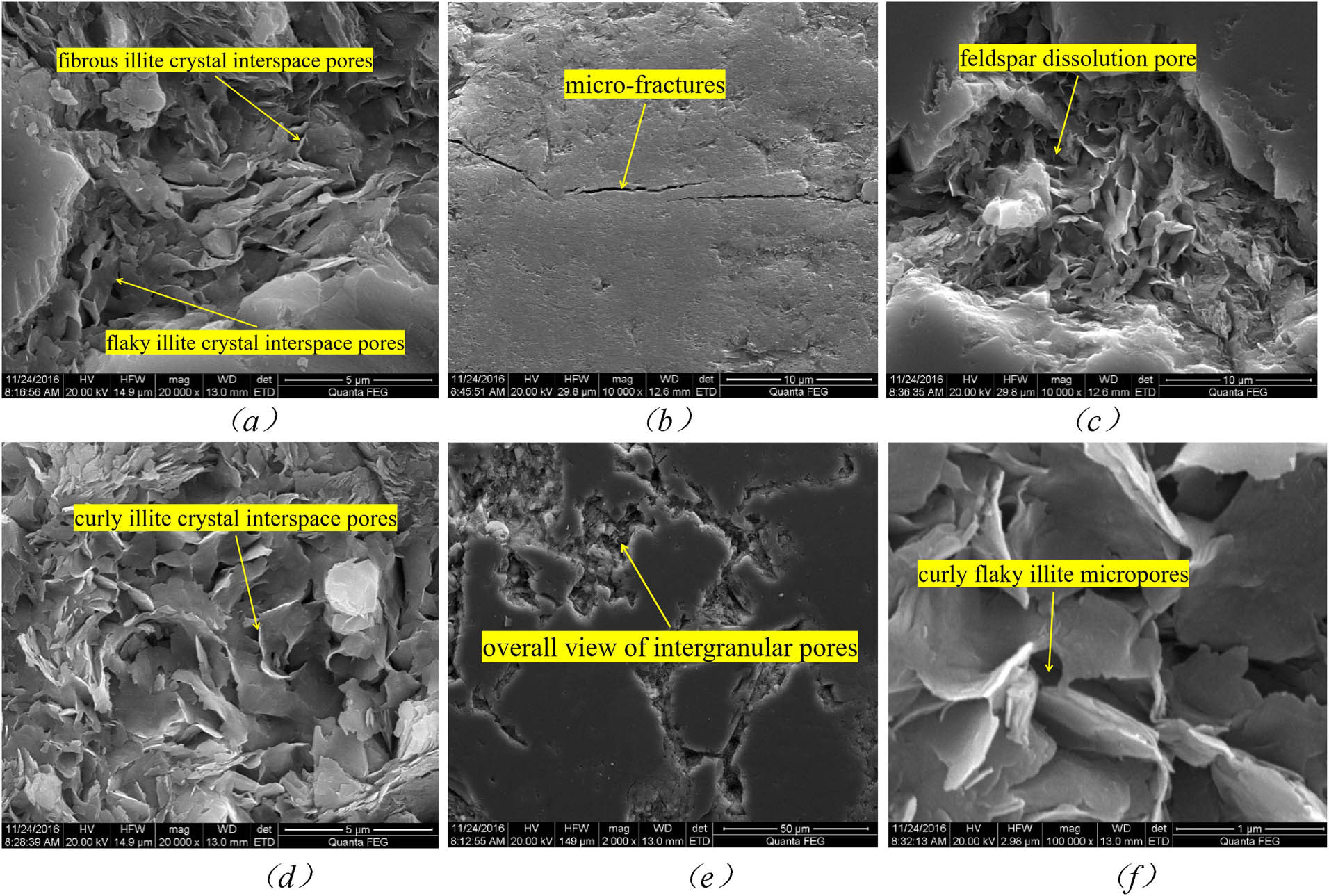 Figure 3 
                  Pore types in tight sandstone: (a) Interspace pores of flaky and fibrous illite, C1-4; (b) micro-fractures, C1-5; (c) feldspar dissolution pore, C3-4; (d) curly illite crystal interspace pores, C3-5; (e) overall view of intergranular pores, C3-6; and (f) curly flaky illite micropores, C10 -5.
               