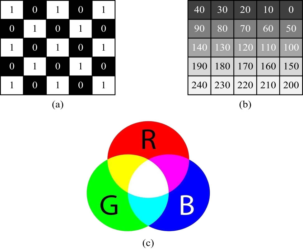 Figure 2 
                  Classification chart of different digital 2D image types. (a) Schematic of a binary image. (b) Schematic of a grey scale image. (c) Colour image.
               