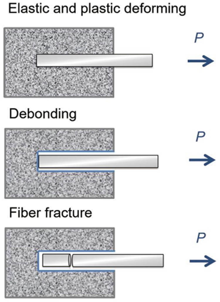 Figure 3 
                  Contact model.
               