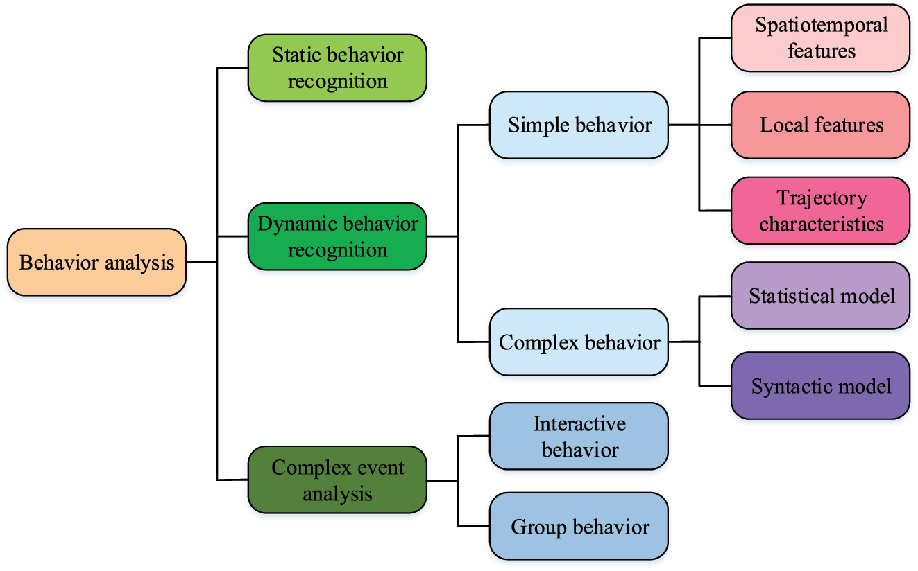Figure 3: 
Schematic representation of the behavioral analysis structure.
