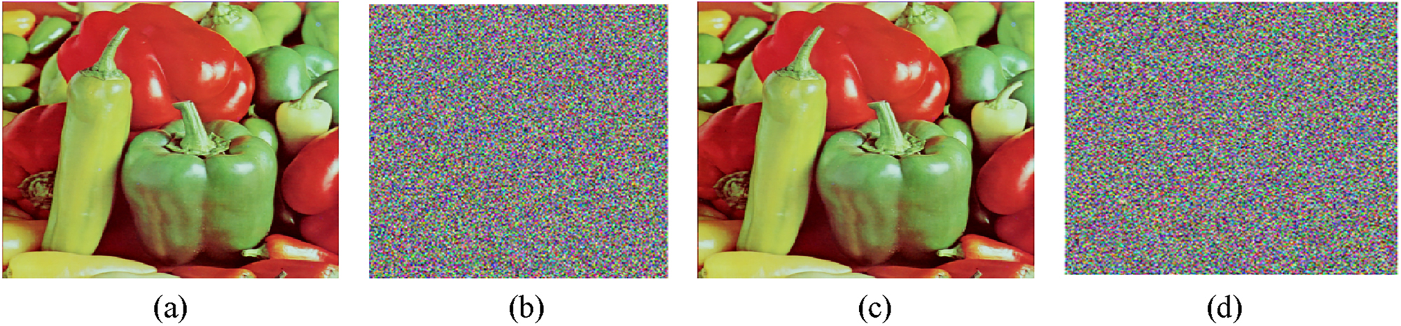 Figure 9: 
Key sensitivity analysis of suggested encryption algorithm. The image decrypted with one bit changed key does not convey any useful information. (a) Plain image, (b) enciphered image, (c) correctly decrypted image, (d) decrypted image with changed key.
