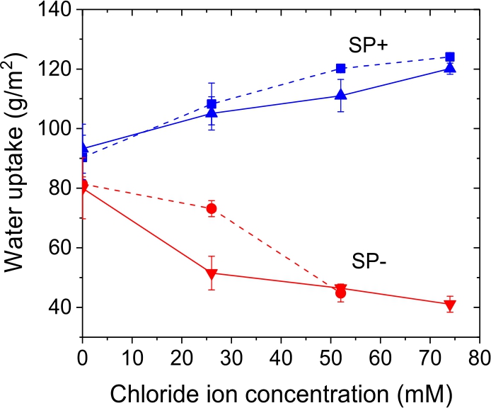 Figure 8 Plot of water uptake versus chloride ion concentration for SP+ and SP- on a liner grade using 0.3 wt. % starch. Dashed lines: addition of NaCl, solid lines: addition of CaCl2.