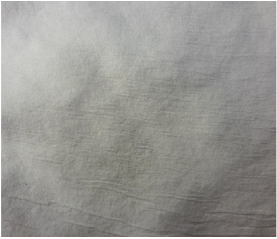 Figure 6 Surface of a compacted sheet. Length of the horizontal side of the picture is approximately 130 mm.