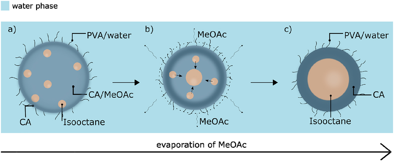 Figure 1:
Schematic representation of the formation of capsules: (a) emulsion droplets composed of the IO/CA/MeOAc mixture in PVA aqueous solution, (b) phase separation of the isooctane and CA phases due to migration of the solvent molecules to the water phase and further evaporation from the system, (c) isooctane-filled CA capsules stabilized by PVA.