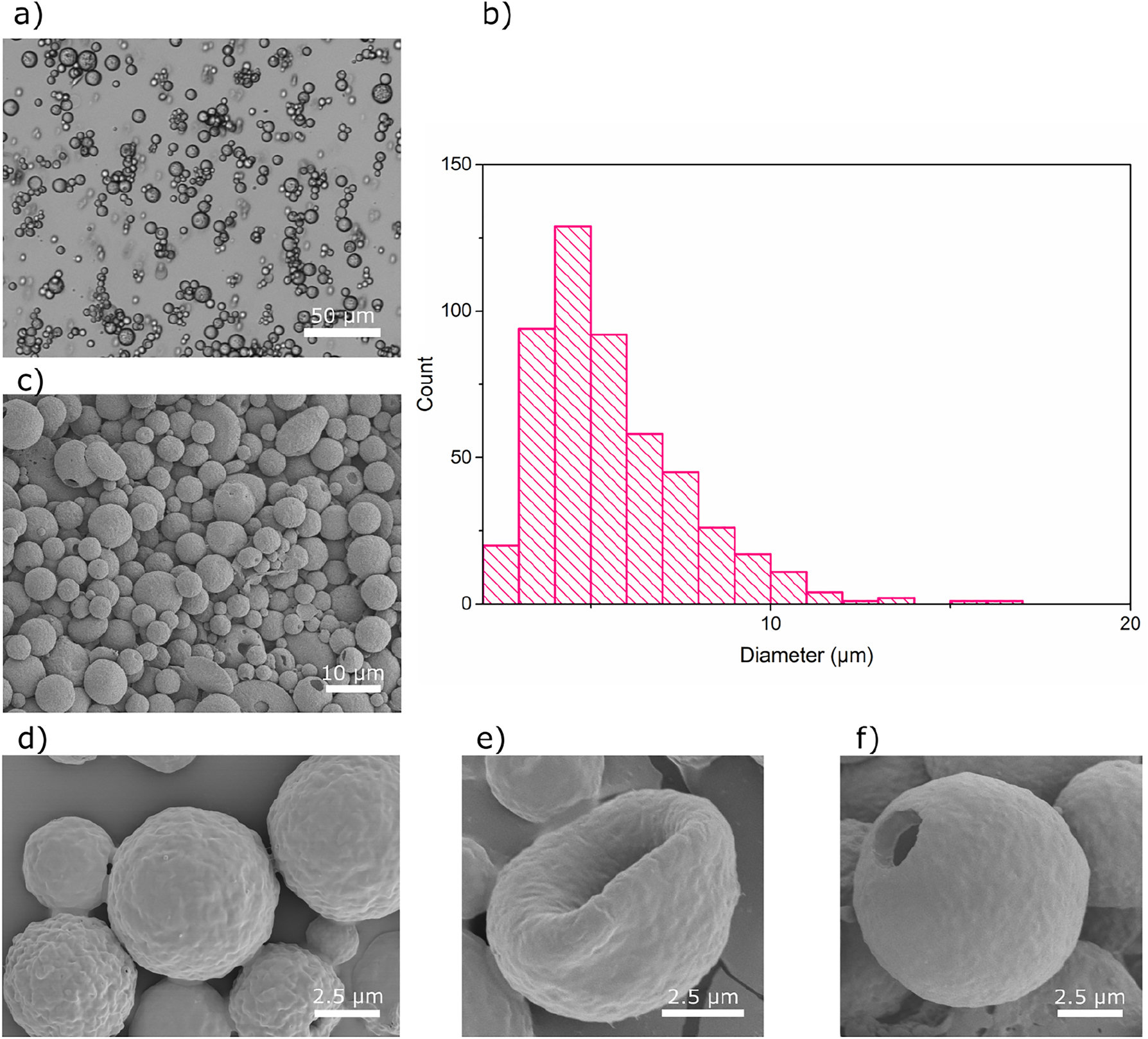 Figure 3:
Characterization of Capsules S2. (a) Optical microscopy image of capsules in the wet state, (b) size distribution determined for wet capsules, (c, d) SEM images of the dry capsules captured at two different magnifications, (e, f) SEM images of two deformed capsules.