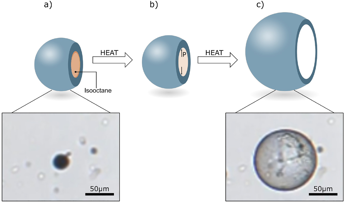 Figure 5:
Expansion of Capsules S1 upon increased temperature. (a) Capsule at a temperature below the boiling point of isooctane, (b) evaporation of the liquid isooctane at temperatures beyond its boiling point, but significantly below the glass transition temperature of CA, (c) expanded capsule at a temperature close to the T
g
of CA in the capsule shell.
