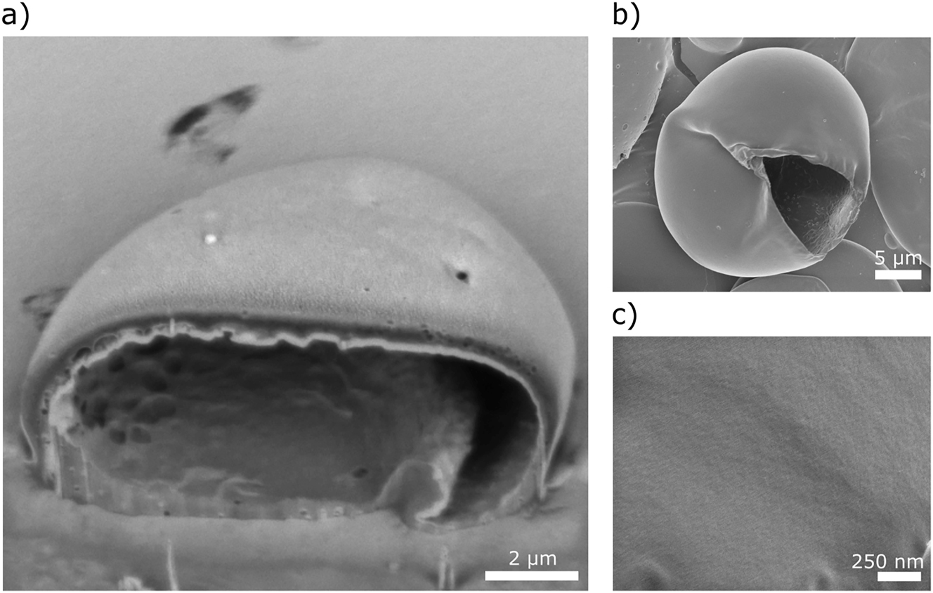 Figure 7:
Micrographs of PVA-stabilized microcapsules formed using microfluidics. (a) FIB-SEM and (b) SEM images of the capsules. (c) High-magnification image of the surface of the capsule wall.
