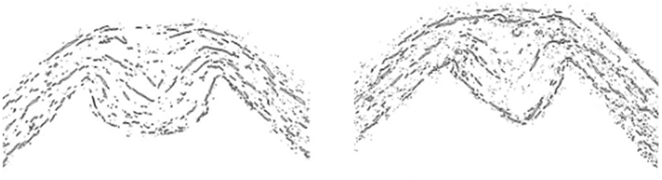 Figure 1: 
Example of cross-sections of creased and folded cardboard.
