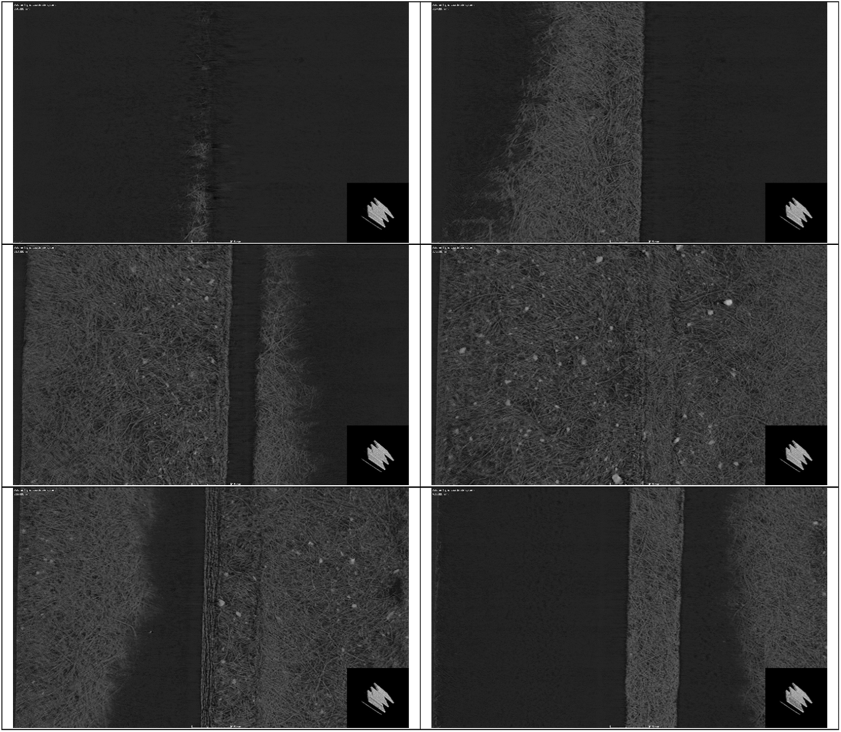 Figure 11: 
Example of cross-sectional RIGHT images.
