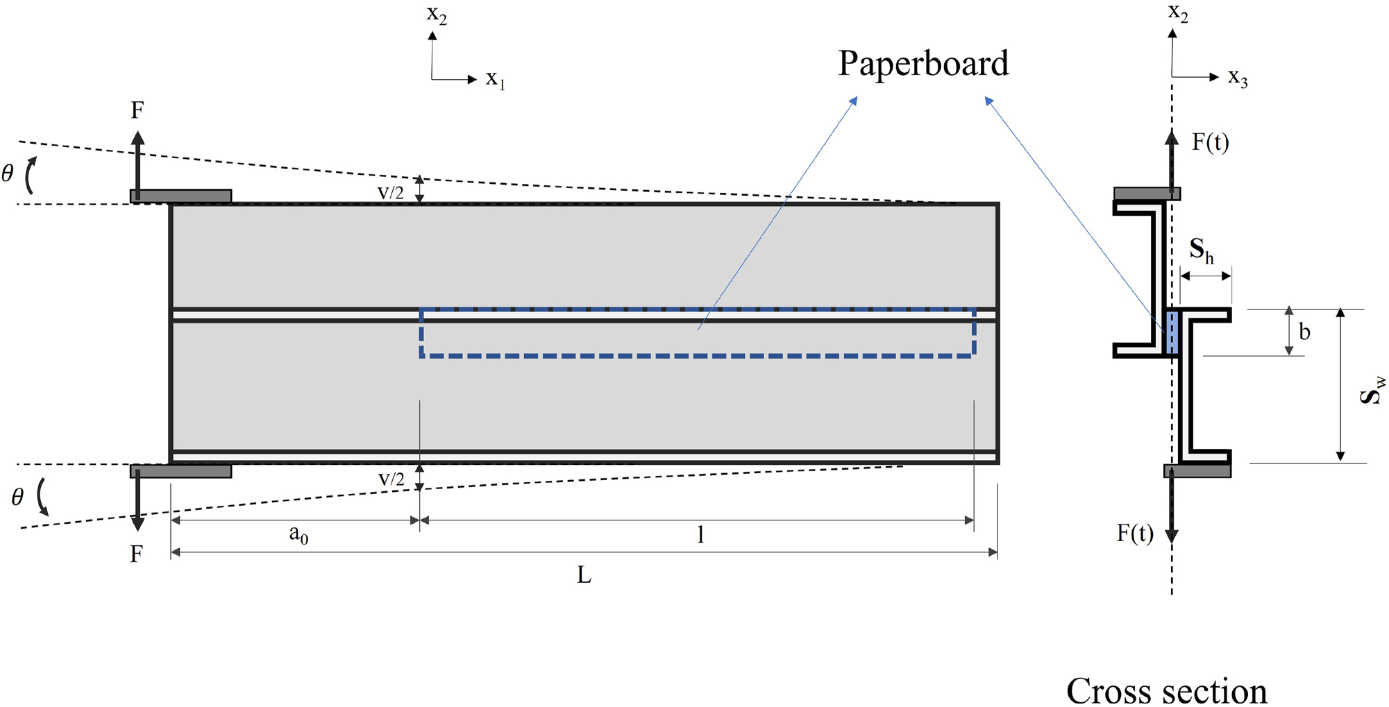 Figure 2: 
A schematic of SDCB. Displacement and rotation are exaggerated.
