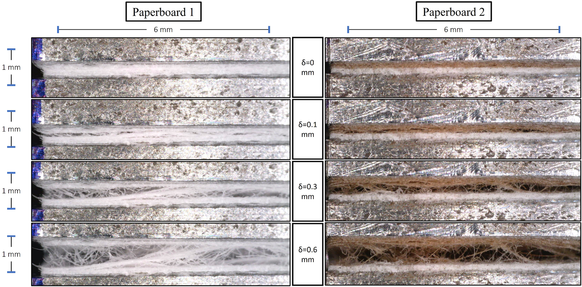 Figure 14: 
Microscopic photos of the DCB specimens made of Paperboard 1 and 2 at different separation levels.
