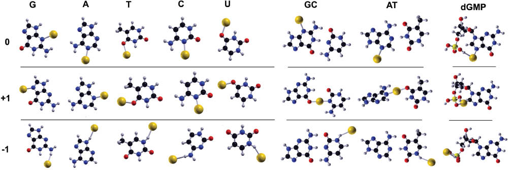 Figure 4: Most stable hybrid gold-DNA/RNA structures (nucleobases, WC base pairs, and deoxyguanosine monophosphate) for the three charge states.