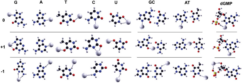 Figure 5: Most stable hybrid silver-DNA/RNA structures (nucleobases, WC base pairs and guanine monophosphate) for the three charge states.