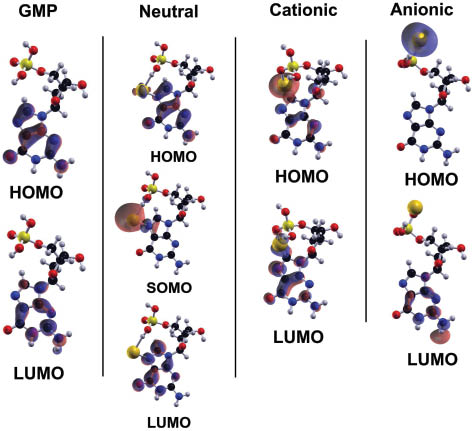 Figure 8: Representative HOMO-LUMO Kohn-Sham orbitals for the isolated guanine monophosphate (dGMP) structure (on the left) and its lowest energetic gold hybrid structures in three charge states: neutral, cationic, and anionic.