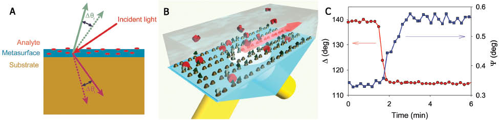 Figure 13 Biosensing with plasmonic metasurface. (A) Analyte-adsorbed metasurface exhibits offsets in the angles of anomalous reflection and refraction, which is subject to the local index change. (B) Schematic of biosensing using a singular-phase nanodot array. (C) Evolution of ellipsometric parameters as biomolecules bind to the functionalized nanodots. The bonding of streptavidin to functionalized Au dots causes a quick change in the phase of reflected light at λ=710 nm and an incidence angle of 53°. (A) is adopted from Ref. [77], and (B) and (C) are adopted from Ref. [177] with permissions.