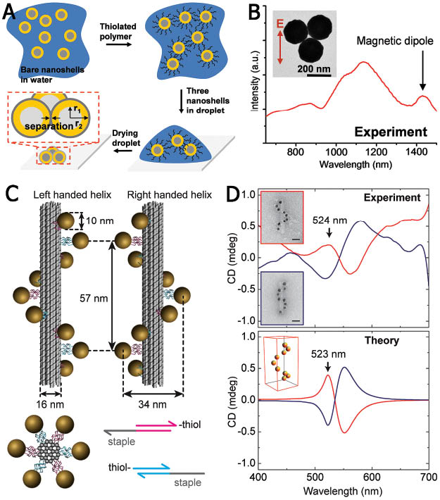 Figure 16 (A) Schematic illustration showing the procedures to assemble plasmonic clusters. (B) Scattering spectrum of a plasmonic trimer using cross-polarization method. The spectrum exhibits a clearly visible magnetic dipole resonance peak. The inset is the SEM image of the plasmonic trimer. (C) Schematic illustration showing DNA-guided self-assembly of plasmonic nanohelices. Left- and right-handed nanohelices (diameter 34 nm, helical pitch 57 nm) are formed by nine gold nanoparticles each of diameter 10 nm that are attached to the surface of the DNA origami 24-helix bundles. (D) Experimental (top panel) and theoretical (bottom panel) circular dichroism spectra of the self-assembled gold nanohelices. The spectra of left-handed (red lines) and right-handed (blue lines) helices of nine gold nanoparticles show characteristic bisignate signatures. (A) and (B) are adopted from Ref. [208], and (C) and (D) are adopted from Ref. [211] with permissions, respectively.