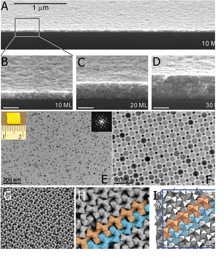 Figure 17 (A–D) SEM micrographs of layer-by-layer assembled 3D supercrystals made of Au nanoparticles (diameter 6 nm). (A) SEM micrographs of an Au nanoparticle supercrystal with 10 monolayers over a large area. (B–D) High-resolution cross-sectional SEM micrographs of Au nanoparticle supercrystals of 10, 20, and 30 monolayers, respectively. (E) TEM image of an AB-type binary superlattice monolayer self-assembled from 16.5 nm Fe3O4 and 6.4 nm Au nanoparticles. The upper left inset shows a photograph of a SiO2/Si wafer coated with such a superlattice, and the upper right inset shows the small-angle electron diffraction pattern. (F) High-magnification TEM image of the monolayer in (E). (G–I) Self-assembled Ag octahedra with a previously unknown lattice in the presence of excess PVP. (G) SEM micrograph showing the new octahedron supercrystal. The lattice consists of tetramer motifs (H) and forms spontaneously in Monte Carlo simulations of octahedra with depletion attractions (I). (A–D) are adopted from Ref. [222], (E) and (F) are adopted from Ref. [223], and (G–I) are adopted from Ref. [224] with permissions.