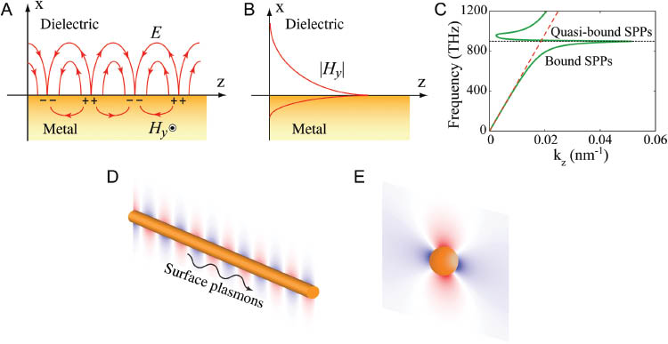 Figure 2 (A) Illustration of SPPs and oscillation of surface charges at the interface between a dielectric and a metal. (B) The electromagnetic field is maximum at the interface and exponentially decays in the direction perpendicular to the interface, reflecting the bound, nonradiant nature of SPPs. (C) Dispersion curve (green) for SPPs at the silver-air interface. The red dashed line is the light line in air, and the black dotted line represents the surface plasmon resonant frequency at which Re(εm)=-εd. (D) and (E) Schematics of SPPs supported by a metallic nanowire and a metallic nanoparticle, which are confined in two dimensions and three dimensions, respectively. The false color indicates the electric field of SPPs.
