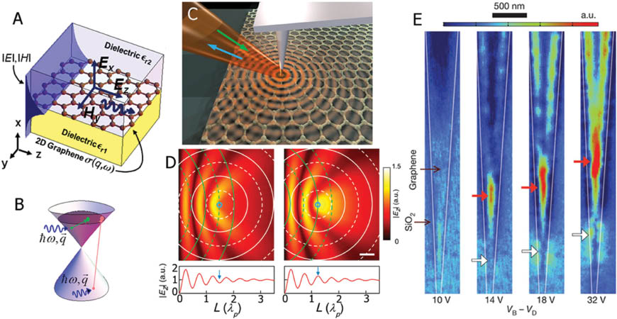 Figure 7 (A) Schematic of SPPs in graphene. (B) Electronic band structure of graphene. The green and pink arrows represent the intra- and interband transitions, respectively. (C) Schematic of the experimental configuration to launch and detect SPPs on graphene based on near-field scanning optical microscopy (NSOM). A sharp metallic tip illuminated by an infrared laser is used to locally excite SPPs, and the near-field SPP signal can be scattered by the tip into the far-field and detected. (D) Top panels show the snapshots of destructive (left) and constructive (right) interference of plasmon waves underneath the tip (blue circles). The bottom panels are the profiles of electric field amplitude underneath the tip versus its distance to the left edge. The scale bar is half wavelength of SPPs. (E) Near-field amplitude images showing the switching of graphene plasmons when a backgate voltage is applied. Red and white arrows denote the positions of resonant local plasmon modes on a tapered graphene ribbon. (A) and (B) are adopted from Ref. [123], (C) and (D) are adopted from Ref. [135], and (E) is adopted from Ref. [136] with permissions.