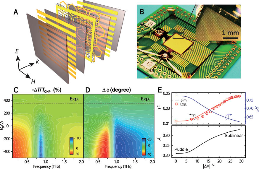 Figure 9 (A) Schematic of a gate-controlled active graphene metamaterial. A single-layer graphene is deposited on a hexagonal metallic meta-atom layer and connected to an electrode (yellow frame) playing the role of ground and then sandwiched by EOT electrodes (yellow strips) embedded in dielectrics. (B) The graphene metamaterial in (A) integrated to a drilled PCB for THz-TDS measurement. The inset shows the magnified view of the planar multilayer structure. Measured spectra of (C) relative change in transmission, and (D) phase change of the hexagonal graphene metamaterials. The dashed line denotes the voltage of the charge neutral point (CNP) VCNP. (E) The spectra of transmission (T2), reflection (R2), and absorption (A) of the graphene metamaterial at the resonance frequency. Figures are adopted from Ref. [141] with permissions.
