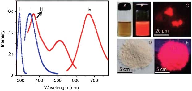 Figure 5 (Left) Photoluminescence profiles of BSA (traces i and ii) and BSA protected gold quantum clusters (AuQC@BSA) (traces iii and iv). (Right) photographs of AuQC@BSA solution under white light (A) and UV light (B), confocal luminescence image of the QC (C), and photographs of QC powder under irradiation by white light (D) and UV light (E). From Ref. [80].