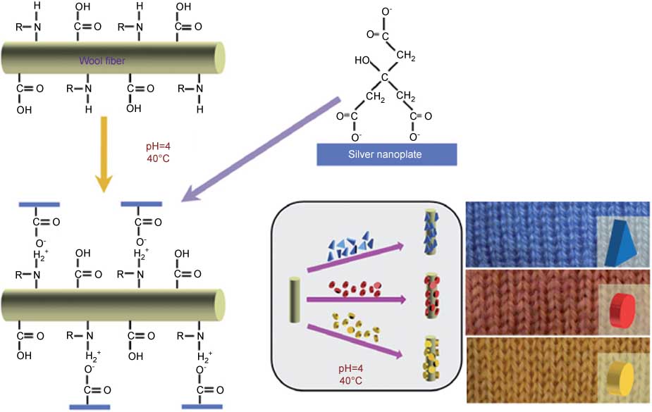 Figure 1 Coloration of wool fiber by using different silver NPs: (A) nanoprism I, (B) nanodisk I, and (C) nanodisk II. Reprinted from J. Colloidal Interface Sci., 2011, vol. 356, Tang B, Wang J, Xu S, Afrin T, Xu W, Sun L, Wang X, Application of anisotropic silver nanoparticles: multifunctionalization of wool fabric, pages 513–518. Copyright (2011), with permission from Elsevier.