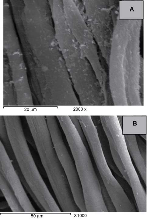 Figure 5 SEM pictures of the pristine cotton fabric (B) and cotton fabric treated (A) with ZnO/CMCTS bionanocomposite. Reprinted from Carbohydr. Polym., 2011, vol. 83, El Shafei A, Abou-Okeil A, ZnO/carboxymethyl chitosan bionano-composite to impart antibacterial and UV protection for cotton fabric. Pages 920–925, Copyright (2011), with permission from Elsevier.