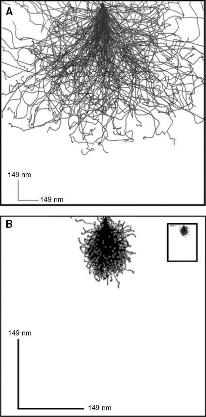 Figure 2 Comparison of the interaction volume of an electron and a helium ion interaction with a carbon surface. (A) Simulation of the interaction volume generated by a 10-kV electron beam bombarding a carbon surface generated by the Win-X-ray program (http://montecarlomodeling.mcgill.ca/software/winxray/features.html); the scattering image includes backscattering electrons. (B) Simulation of the interaction volume generated by a 10-kV helium ion beam bombarding a carbon surface generated by SRIM program.