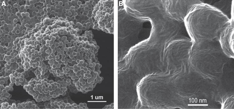 Figure 4 HIM imaging of PVDF-PANI core-shell nanoparticles. (A) nanoparticle aggregates formed after casting from chloroform dispersion; (B) porous monolithic film formed after short term annealing of the solution cast film at 180°C (above the melting transition temperature of the PVDF core).