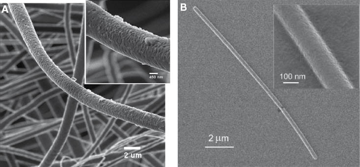 Figure 5 HIM imaging of polymer nanofibers: (A) electrospan PLLA nanofibers used as a scaffold (mineralization process can be seen on the surface); (B) self-organized fibers of polyaniline polymer. Insets show higher magnification images [Reproduced with permission from Carl Zeiss Microscopy, Peabody, MA, USA].