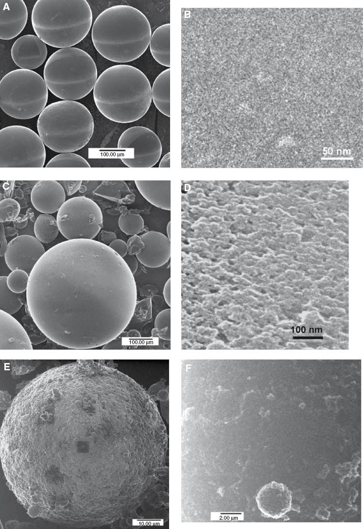Figure 6 HIM images of nanoporous polystyrene beads prepared via suspension polymerization with three different porogens: toluene (A, B), n-heptane (C, D), and Span-80 (E, F) (see explanation in the text). Low-resolution images (left) give insight in the bead’s size distribution and surface roughness, while high-resolution images (right) allow visualization and direct measurements of the pore size and pore size distribution not available in other microscopy techniques.