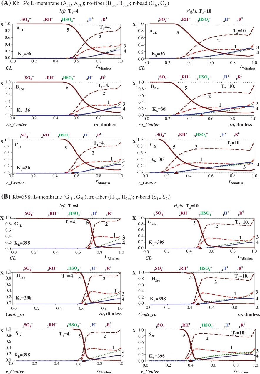 Figure 4 (A, B) Variant 1. Five (5)-component system, (Anion SO42-). Comparison of propagating 5R0 waves (5-solid, brown, D5=0!) in NC matrixes: L-membrane (a, A12L, b, G12L); ro-fiber (a, B12ro, b, H12ro); r-bead (a, C12r, b, S12r). Kb=36 (a, up, A1,2L-C1,2r); Kb=398 (b, down, G1,2L-S1,2r). D3HSO4=0.0085<D1SO4=0.01<D4H=0.03. «Triangles» on abscissa axes show CM5R positions in L, ro, r matrixes (i components numbers near curves: 1SO42- -pink, dashed; 2R0H+-brown, dashed; 3HSO4--green, dotted; 4H+-blue, 5R0-brown, solid). T1 =4 (left) to T2 =10 (right).