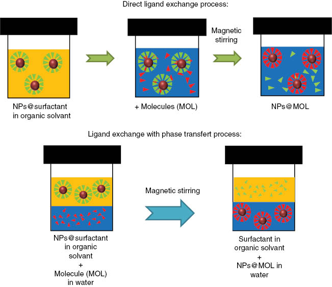 Figure 3: Functionalization of NPs covered with a surfactant molecule: top: direct ligand exchange process, bottom: ligand exchange with phase transfer process.